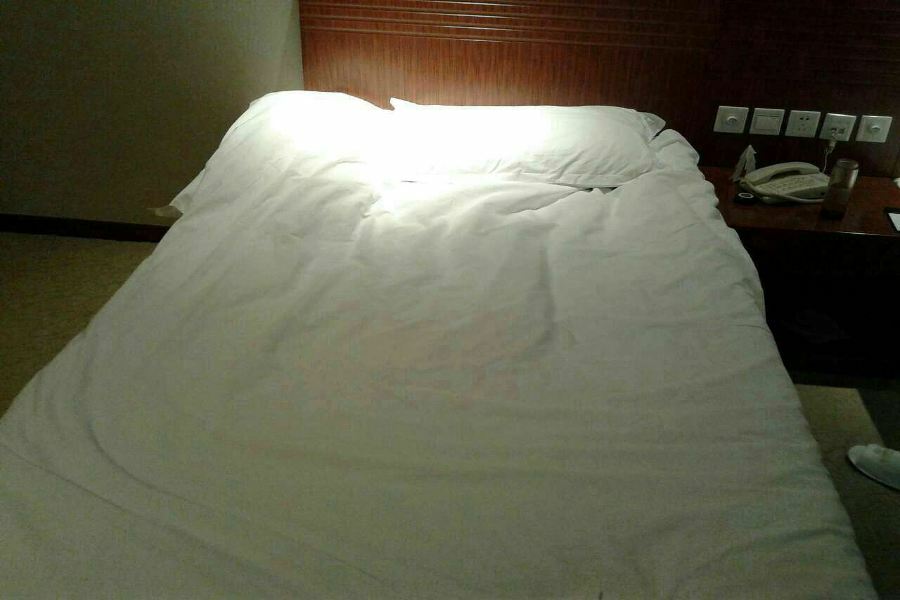 Nanjing Expo Center Hotel Экстерьер фото